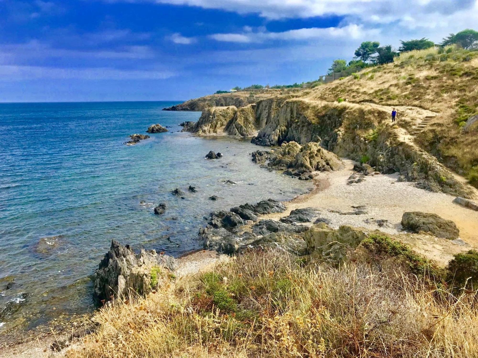 Belle Villa Avec Piscine Vue Montagne A 10 Mn De La Mer A Argeles Extérieur photo